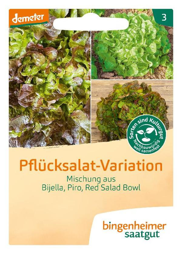 Produktfoto zu Saatgut, Pflücksalat Variation