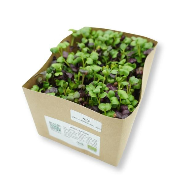 Produktfoto zu Microgreen - Mix, 40g