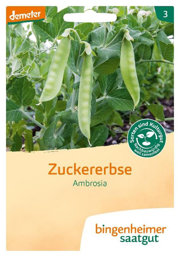 Produktfoto zu Saatgut, Zuckererbse Ambrosia