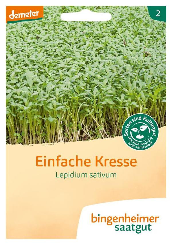 Produktfoto zu Saatgut, Einfache Kresse