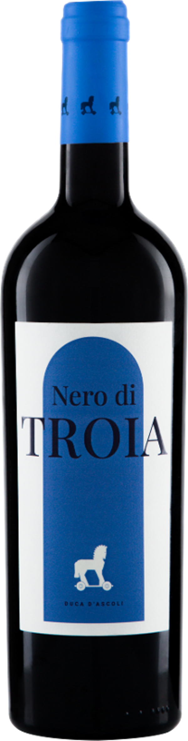 Produktfoto zu Nero di Troia Puglia IGT 0,75l