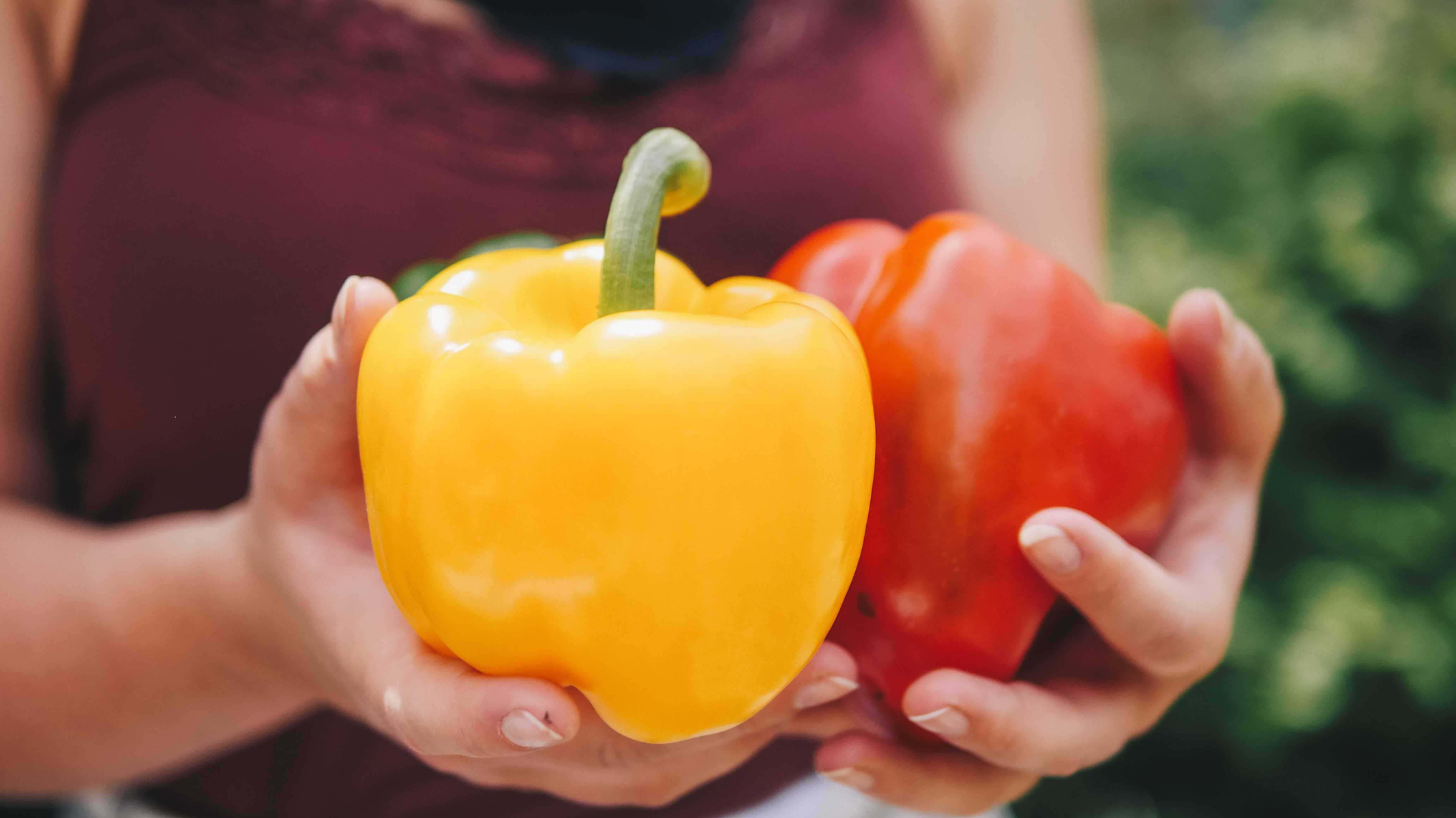 Rezeptbild für Paprika-Möhren-Pie