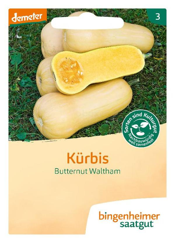 Produktfoto zu Saatgut, Kürbis Butternut Waltham