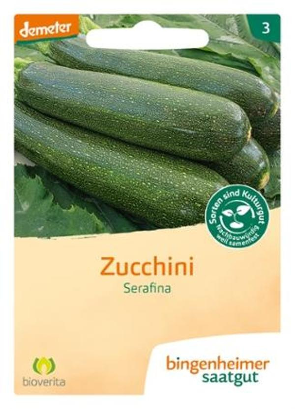 Produktfoto zu Saatgut, Zucchini Serafina