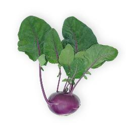 Produktfoto zu Kohlrabi blau