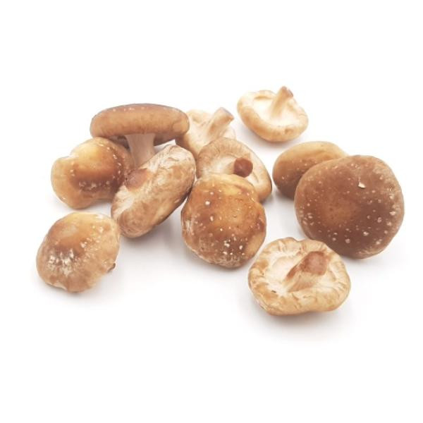 Produktfoto zu Shiitake