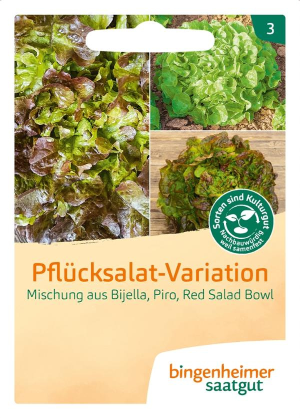 Produktfoto zu Saatgut, Pflücksalat-Variation