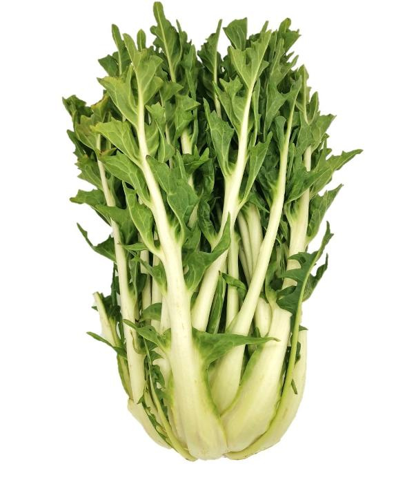 Produktfoto zu Puntarelle