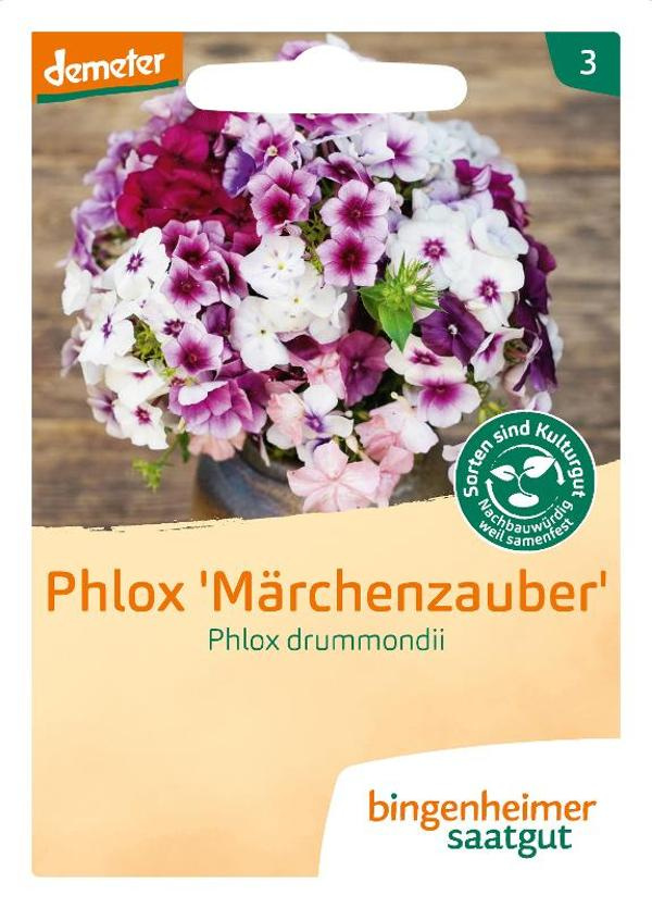 Produktfoto zu Saatgut, Phlox "Märchenzauber"