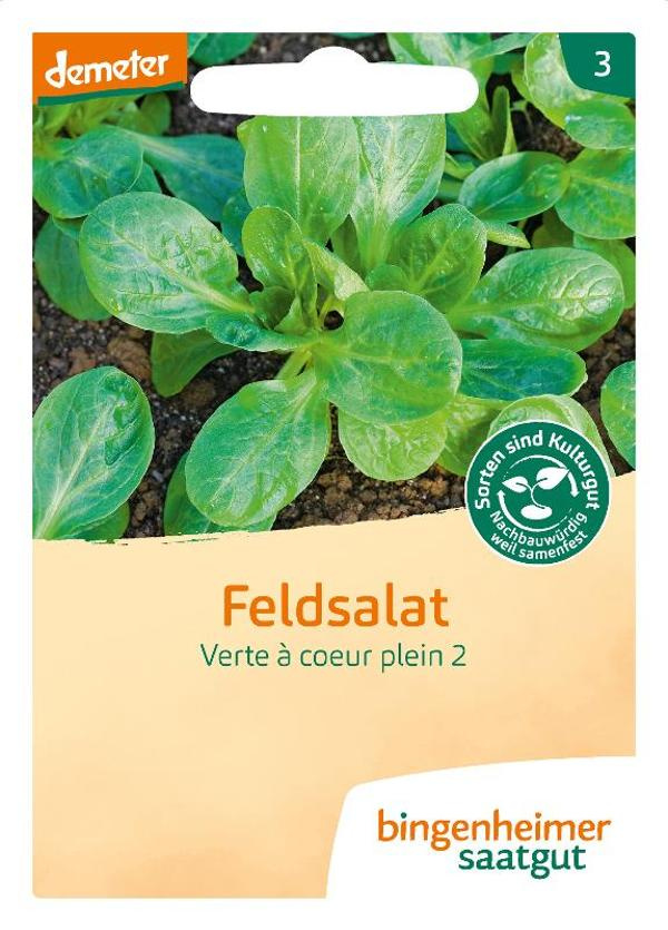 Produktfoto zu Saatgut, Feldsalat Verte