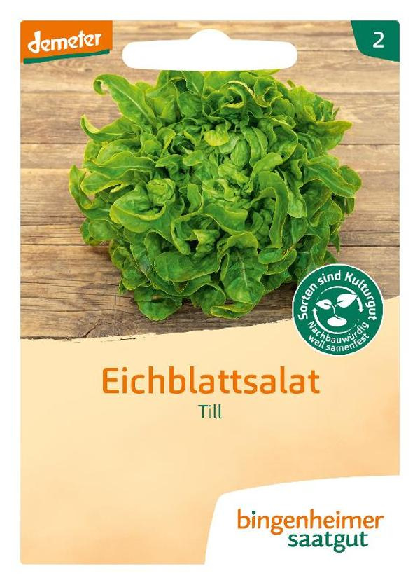 Produktfoto zu Saatgut, Eichblattsalat, Till