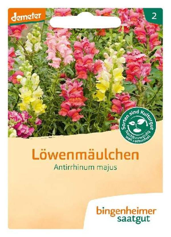 Produktfoto zu Saatgut, Löwenmäulchen