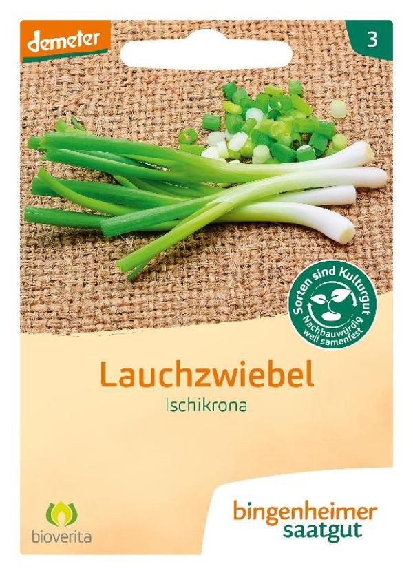 Produktfoto zu Saatgut, Lauchzwiebel Ischikrona