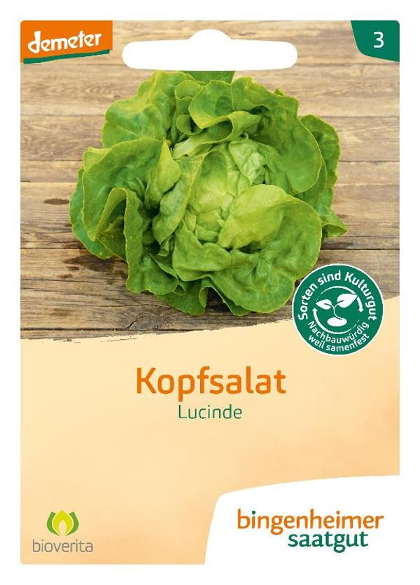 Produktfoto zu Saatgut, Kopfsalat Lucinde