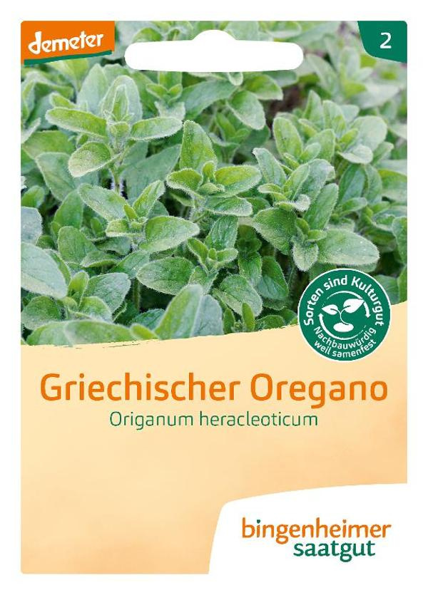 Produktfoto zu Saatgut, Griechischer Oregano