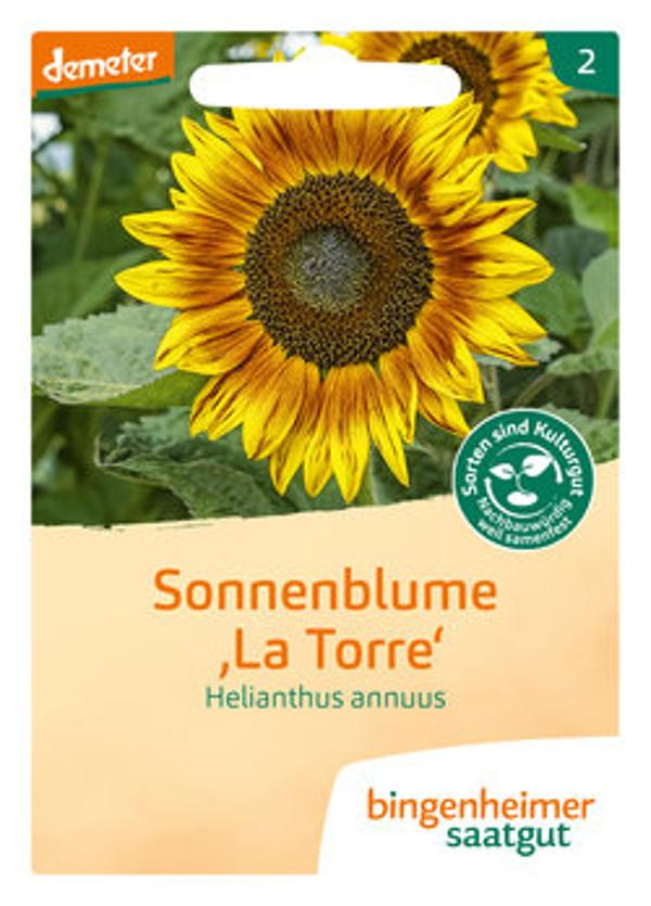 Produktfoto zu Saatgut, Sonnenblume "La Torre"