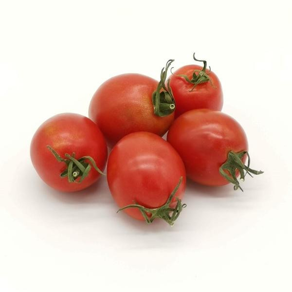 Produktfoto zu Suppen-Tomaten