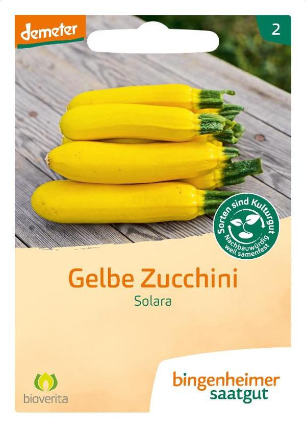 Produktfoto zu Saatgut, Gelbe Zucchini Solara