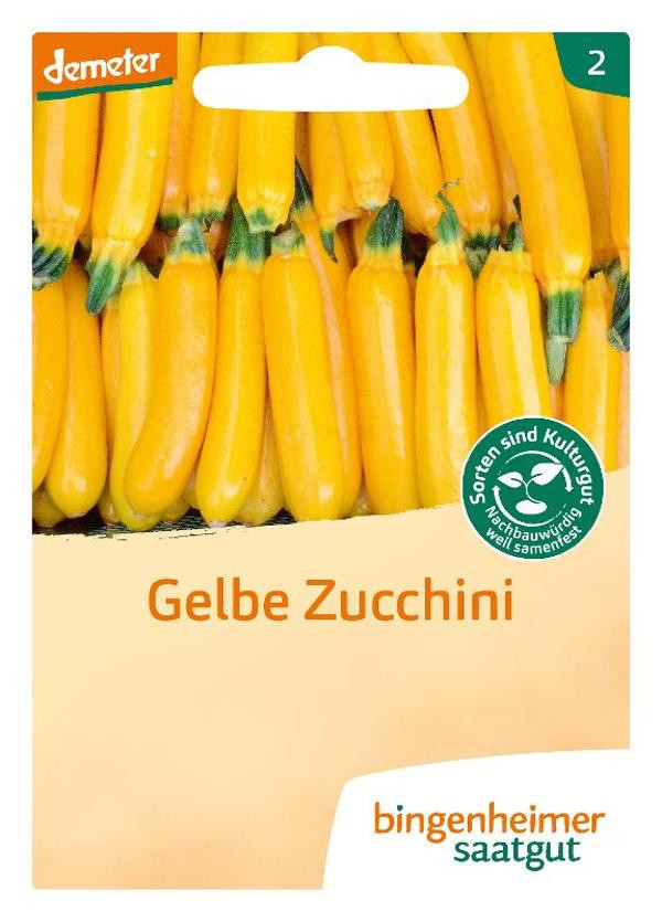 Produktfoto zu Saatgut, Gelbe Zucchini Solara