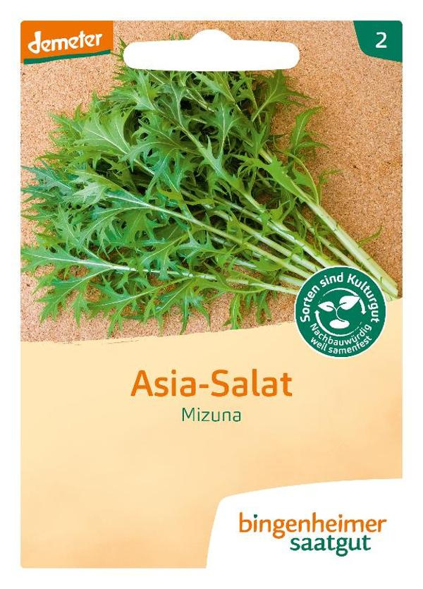 Produktfoto zu Saatgut, Asia-Salat Mizuna