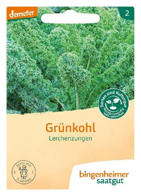 Produktfoto zu Saatgut, Grünkohl