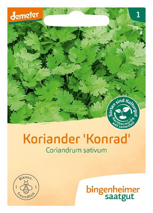 Produktfoto zu Saatgut, Koriander