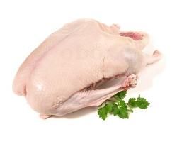 Produktfoto zu Gans 4 - 6 kg