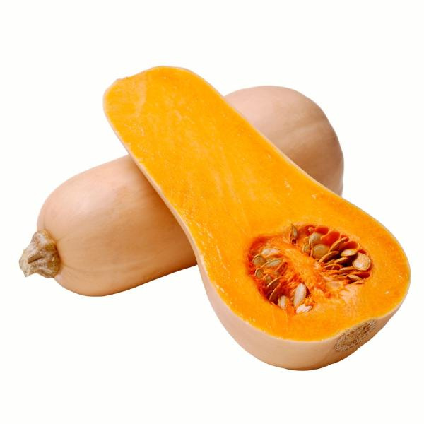 Produktfoto zu Kürbis  "Butternut"