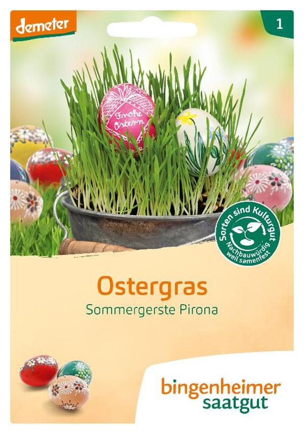 Produktfoto zu Saatgut, Ostergras