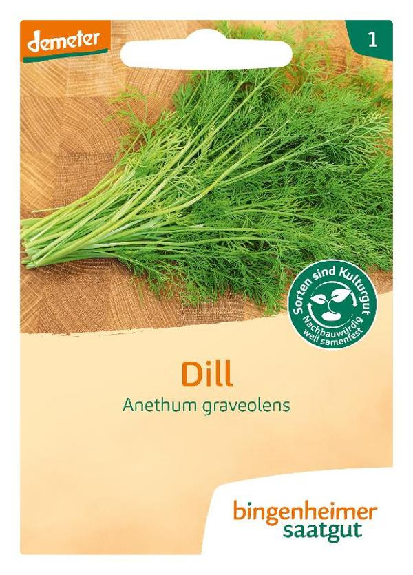 Produktfoto zu Saatgut, Dill