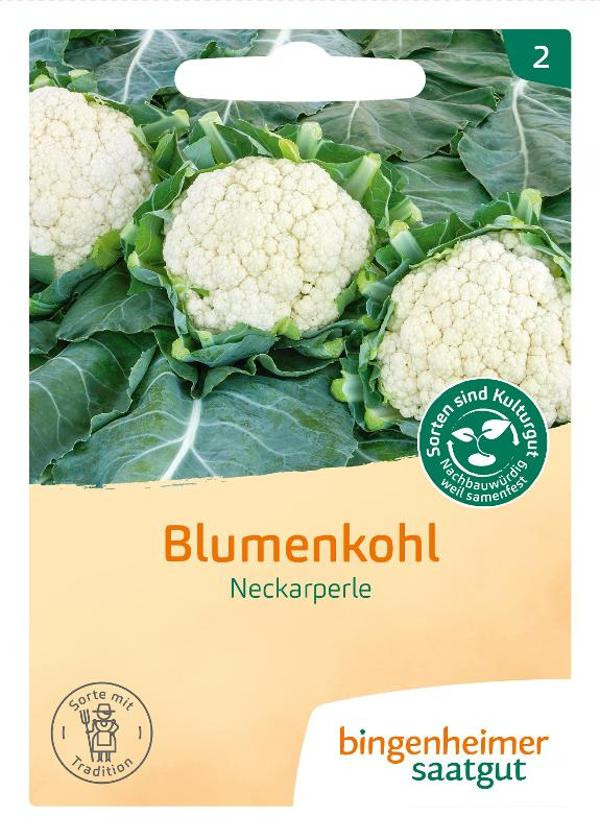 Produktfoto zu Saatgut, Blumenkohl