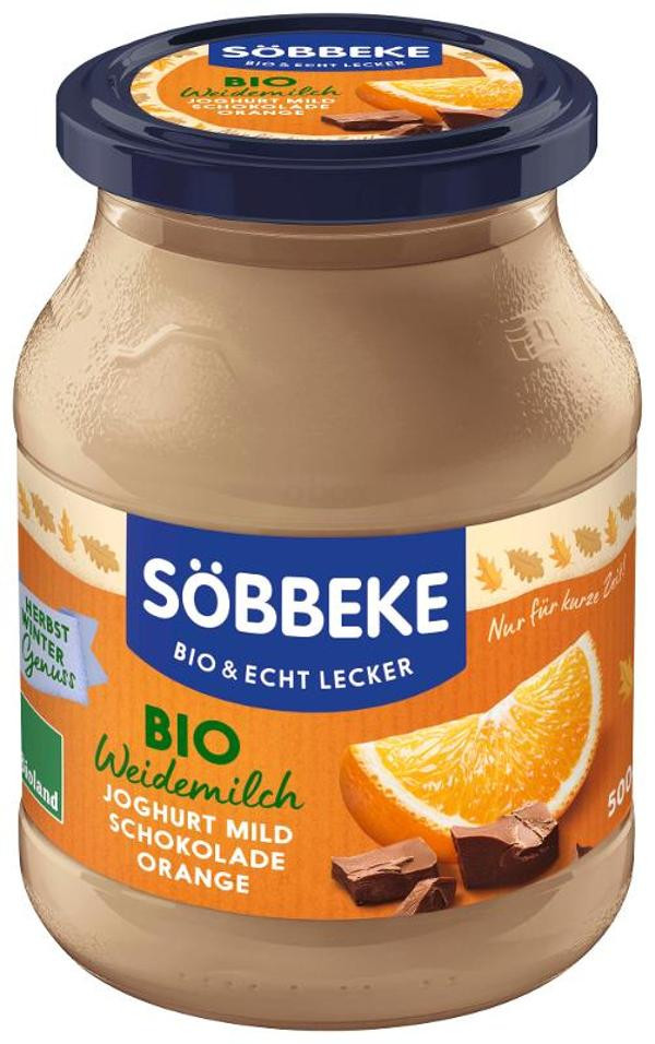 Produktfoto zu Joghurt Schoko-Orange 500g