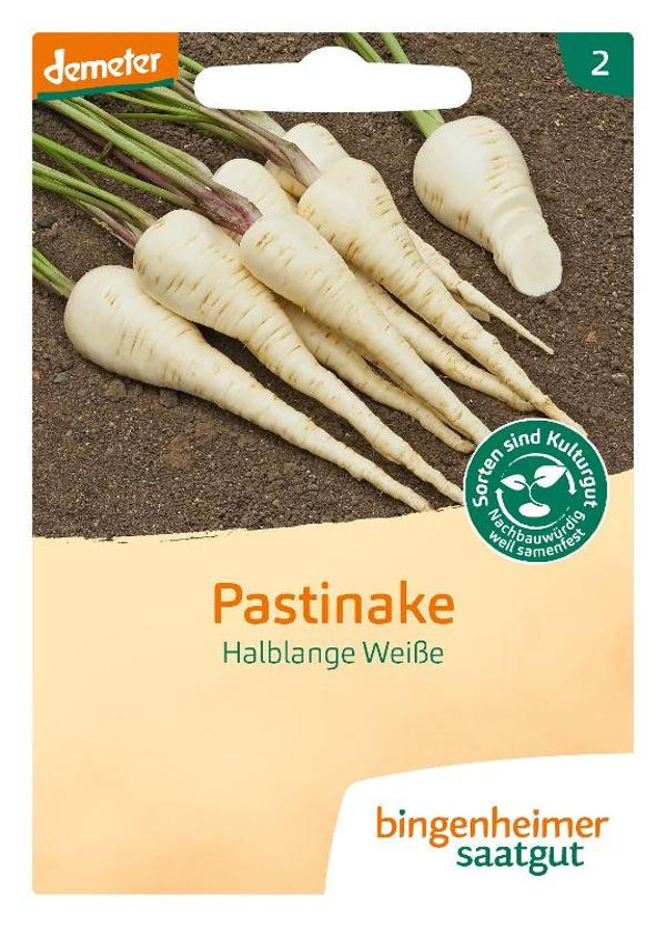 Produktfoto zu Saatgut, Pastinake Halblange Weiße